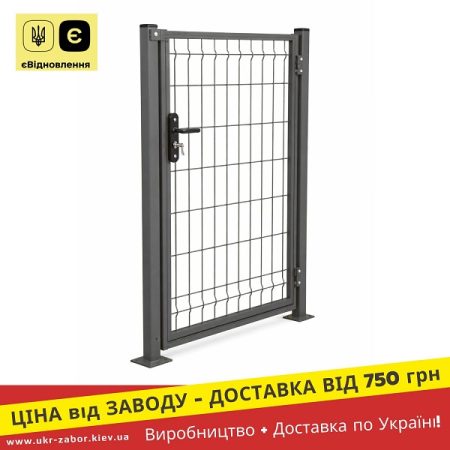 Графіт Ral 7016 Хвіртка